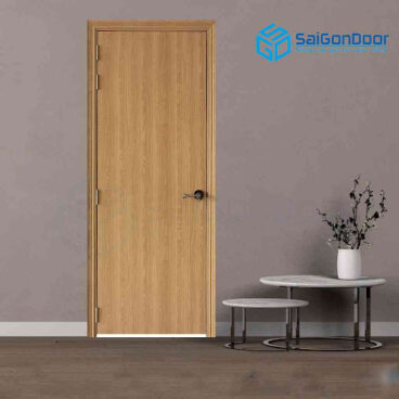 MẪU CỬA NHÀ ĐẸP GIÁ RẺ HCM